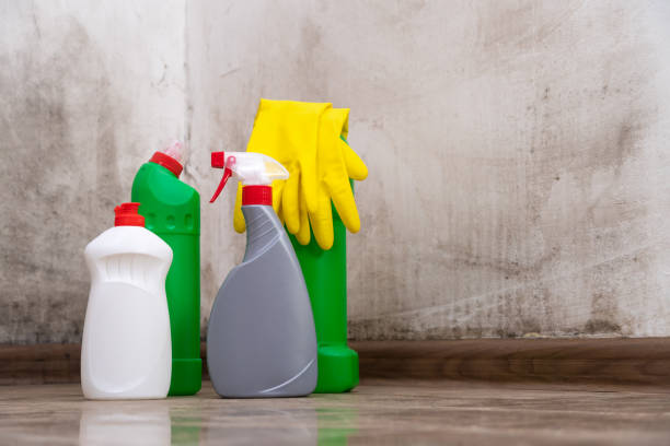 Why You Should Choose Our Mold Remediation Services in Dell Rapids, SD